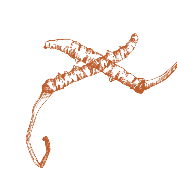 Подобрете ежедневието си