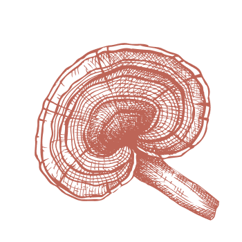 Върнете се към традициите и подсилете имунната си система