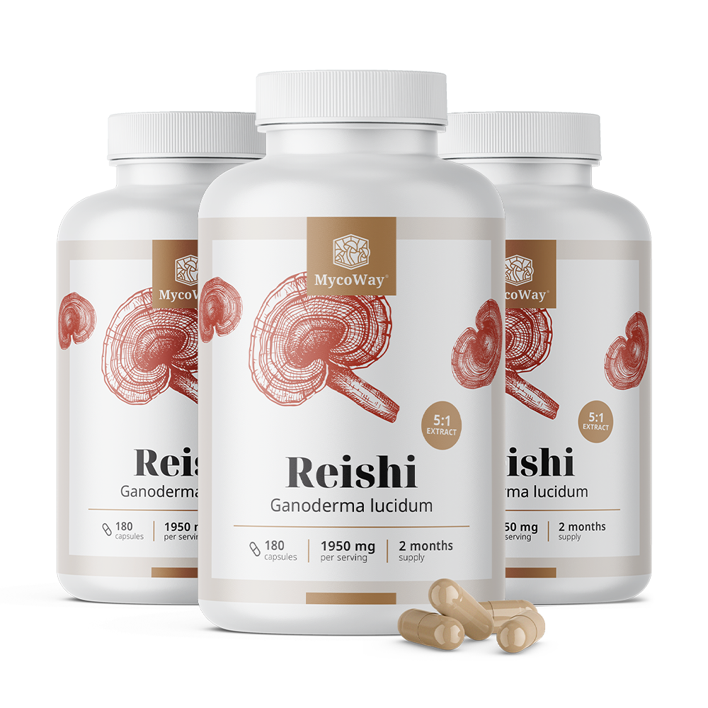 Рейши 1950 мг - екстракт 5:1.