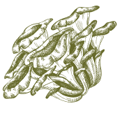 Укрепете се по естествен начин