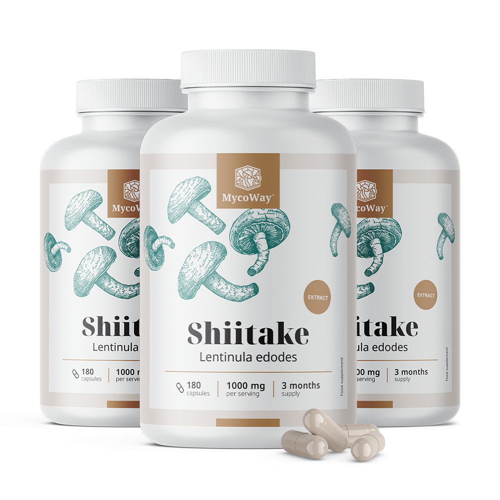 Shiitake 1000 mg - екстракт.