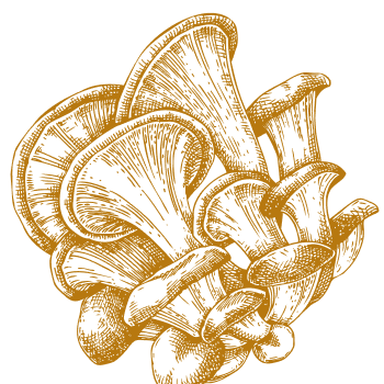 Уникална естествена подкрепа за укрепване на тялото и ума