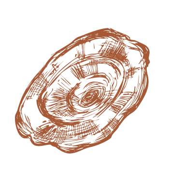 Направете крачка към жизнеността и силата