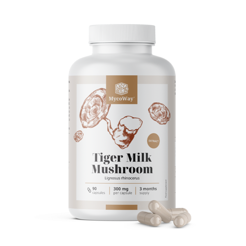 Tiger Milk 300 мг - екстракт от гъба Lignosus rhinocerus, 90 капсули