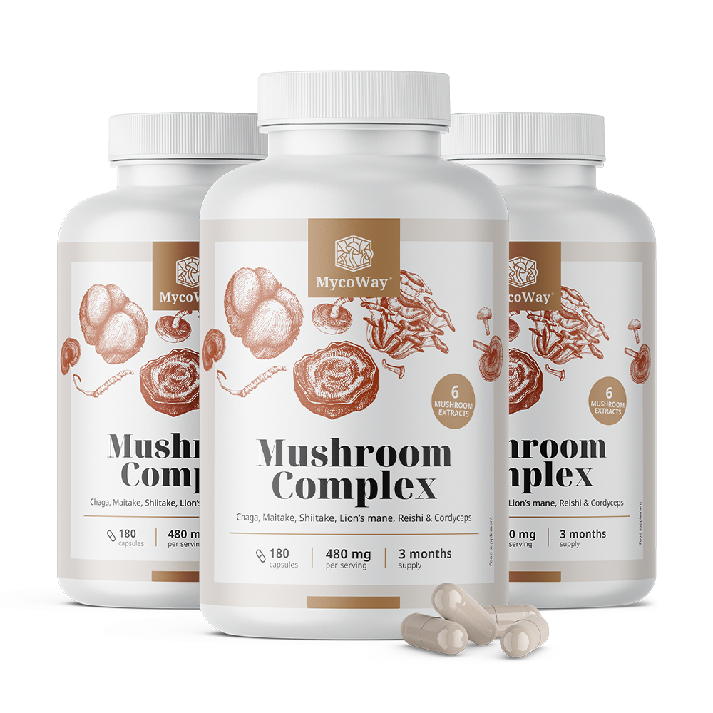 Комплекс 6 гъби.