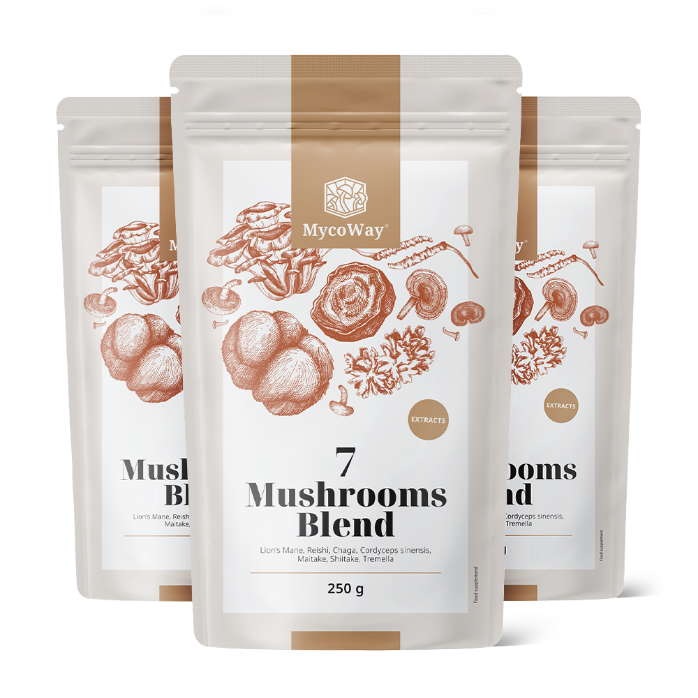 Екстракти от 7 гъби.