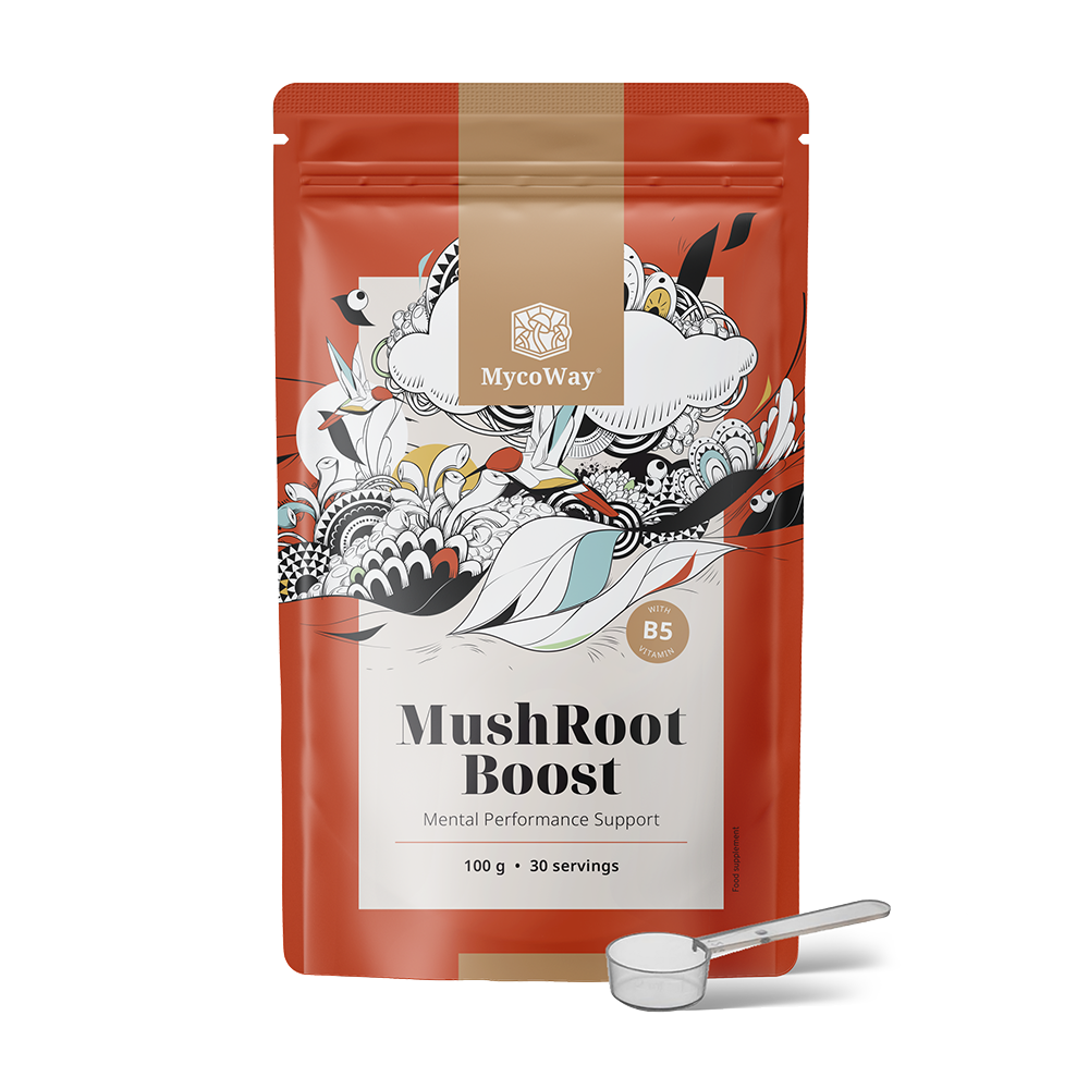 MushRoot Boost - напитка за умствена издръжливост.