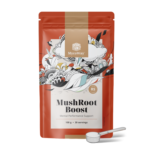 MushRoot Boost - напитка за умствена ефективност, 100 г
