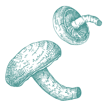 Хилядолетна традиция в подкрепа на тялото